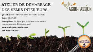 atelier démarrage semis