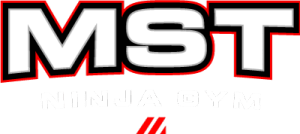 01 logo mst ninjagym blanc